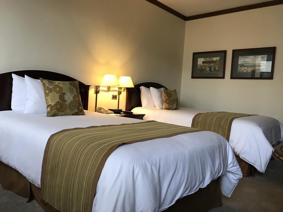 Socialtel Quito Hotel ภายนอก รูปภาพ